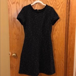 Loft Stretch Tweed Fit and Flare Dress